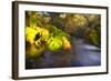 Sweet Automn-Viviane Fedieu Daniel-Framed Photographic Print