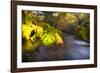 Sweet Automn-Viviane Fedieu Daniel-Framed Photographic Print