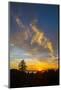 Sweet Autumn Skies Over Berkeley Rose Garden-Vincent James-Mounted Photographic Print