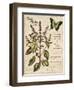 Sweet Basil-Kate Ward Thacker-Framed Giclee Print