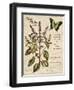 Sweet Basil-Kate Ward Thacker-Framed Giclee Print