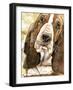 Sweet Basset Hound-Jin Jing-Framed Art Print