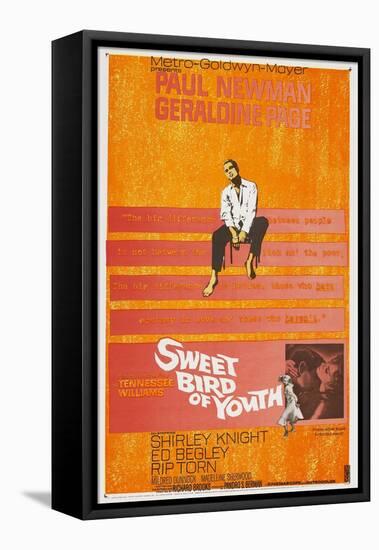 Sweet Bird of Youth, 1962, Directed by Richard Brooks-null-Framed Stretched Canvas