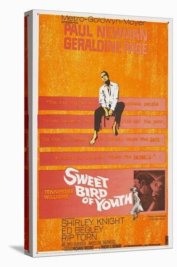 Sweet Bird of Youth, 1962, Directed by Richard Brooks-null-Stretched Canvas