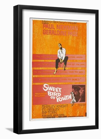 Sweet Bird of Youth, 1962, Directed by Richard Brooks-null-Framed Premium Giclee Print