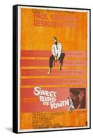 Sweet Bird of Youth, 1962, Directed by Richard Brooks-null-Framed Stretched Canvas