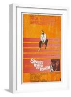 Sweet Bird of Youth, 1962, Directed by Richard Brooks-null-Framed Giclee Print