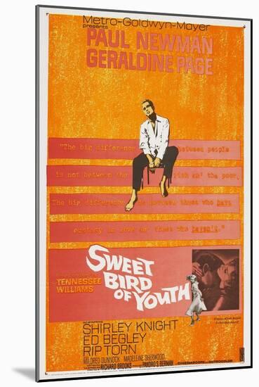 Sweet Bird of Youth, 1962, Directed by Richard Brooks-null-Mounted Giclee Print