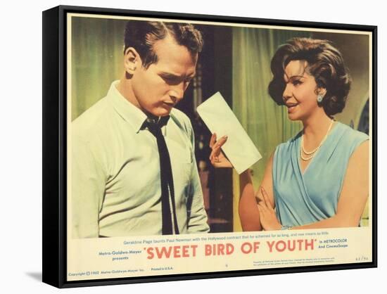 Sweet Bird of Youth, 1962-null-Framed Stretched Canvas