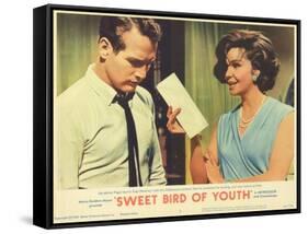 Sweet Bird of Youth, 1962-null-Framed Stretched Canvas