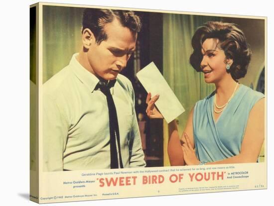 Sweet Bird of Youth, 1962-null-Stretched Canvas
