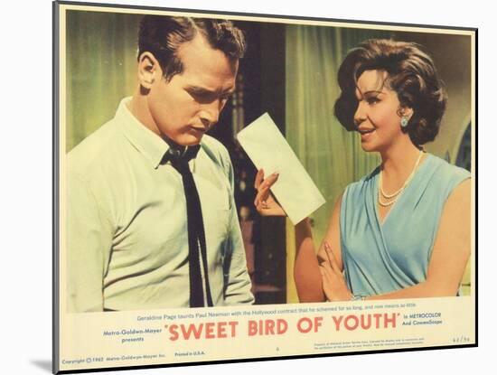 Sweet Bird of Youth, 1962-null-Mounted Art Print