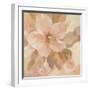 Sweet Boho Flower I-Silvia Vassileva-Framed Art Print