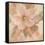 Sweet Boho Flower I-Silvia Vassileva-Framed Stretched Canvas