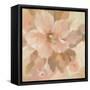 Sweet Boho Flower I-Silvia Vassileva-Framed Stretched Canvas