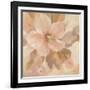 Sweet Boho Flower I-Silvia Vassileva-Framed Art Print