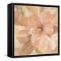 Sweet Boho Flower II-Silvia Vassileva-Framed Stretched Canvas