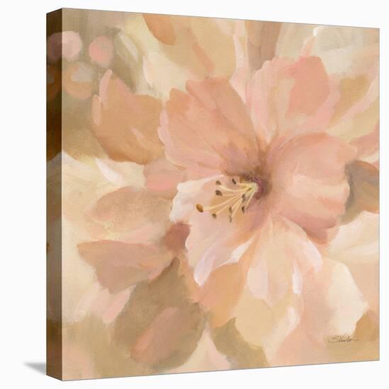 Sweet Boho Flower II-Silvia Vassileva-Stretched Canvas