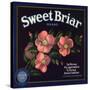 Sweet Briar Brand - La Verne, California - Citrus Crate Label-Lantern Press-Stretched Canvas