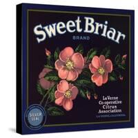 Sweet Briar Brand - La Verne, California - Citrus Crate Label-Lantern Press-Stretched Canvas