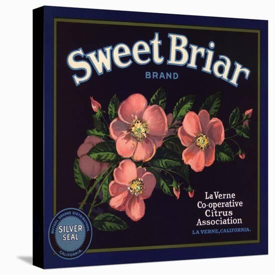 Sweet Briar Brand - La Verne, California - Citrus Crate Label-Lantern Press-Stretched Canvas