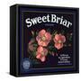 Sweet Briar Brand - La Verne, California - Citrus Crate Label-Lantern Press-Framed Stretched Canvas