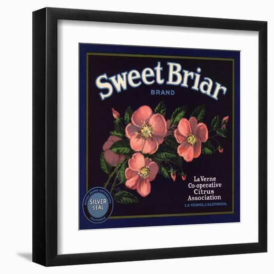 Sweet Briar Brand - La Verne, California - Citrus Crate Label-Lantern Press-Framed Art Print