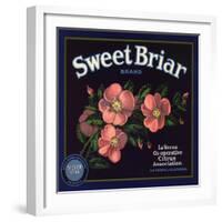 Sweet Briar Brand - La Verne, California - Citrus Crate Label-Lantern Press-Framed Art Print