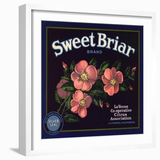 Sweet Briar Brand - La Verne, California - Citrus Crate Label-Lantern Press-Framed Art Print