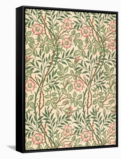 sweet Briar' Design for Wallpaper, Printed by John Henry Dearle (1860-1932) 1917-William Morris-Framed Stretched Canvas