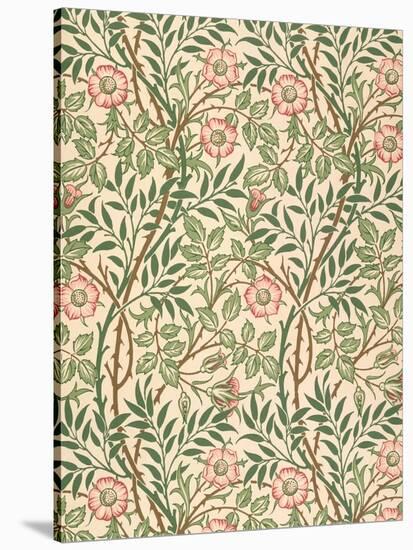 sweet Briar' Design for Wallpaper, Printed by John Henry Dearle (1860-1932) 1917-William Morris-Stretched Canvas