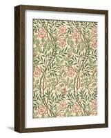 sweet Briar' Design for Wallpaper, Printed by John Henry Dearle (1860-1932) 1917-William Morris-Framed Giclee Print