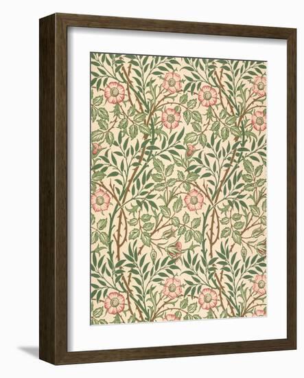 sweet Briar' Design for Wallpaper, Printed by John Henry Dearle (1860-1932) 1917-William Morris-Framed Giclee Print