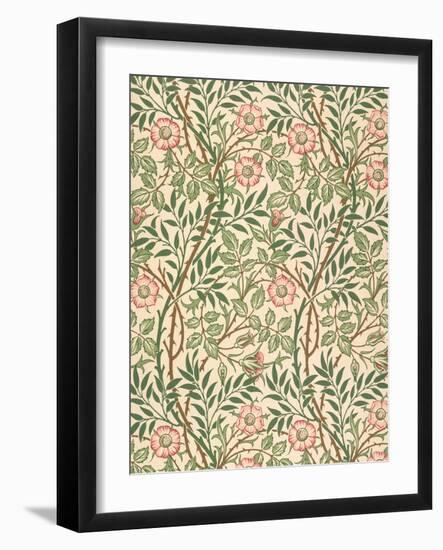 sweet Briar' Design for Wallpaper, Printed by John Henry Dearle (1860-1932) 1917-William Morris-Framed Giclee Print