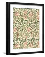 sweet Briar' Design for Wallpaper, Printed by John Henry Dearle (1860-1932) 1917-William Morris-Framed Giclee Print