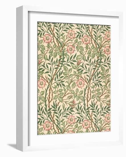 sweet Briar' Design for Wallpaper, Printed by John Henry Dearle (1860-1932) 1917-William Morris-Framed Giclee Print