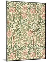 sweet Briar' Design for Wallpaper, Printed by John Henry Dearle (1860-1932) 1917-William Morris-Mounted Giclee Print