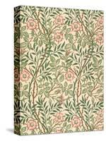 sweet Briar' Design for Wallpaper, Printed by John Henry Dearle (1860-1932) 1917-William Morris-Stretched Canvas