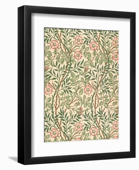 sweet Briar' Design for Wallpaper, Printed by John Henry Dearle (1860-1932) 1917-William Morris-Framed Giclee Print