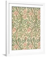 sweet Briar' Design for Wallpaper, Printed by John Henry Dearle (1860-1932) 1917-William Morris-Framed Giclee Print