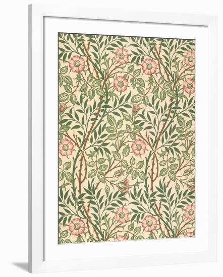 sweet Briar' Design for Wallpaper, Printed by John Henry Dearle (1860-1932) 1917-William Morris-Framed Giclee Print