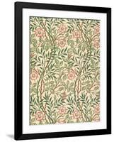 sweet Briar' Design for Wallpaper, Printed by John Henry Dearle (1860-1932) 1917-William Morris-Framed Giclee Print