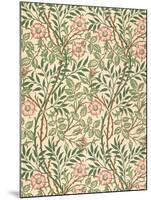 sweet Briar' Design for Wallpaper, Printed by John Henry Dearle (1860-1932) 1917-William Morris-Mounted Giclee Print