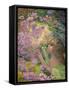 Sweet Briar Rose Fairy-Josephine Wall-Framed Stretched Canvas