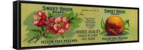 Sweet Brier Peach Label - San Francisco, CA-Lantern Press-Framed Stretched Canvas