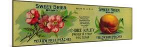Sweet Brier Peach Label - San Francisco, CA-Lantern Press-Mounted Premium Giclee Print