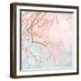 Sweet Cherry Blossoms IV-Evelia Designs-Framed Art Print