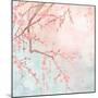 Sweet Cherry Blossoms IV-Evelia Designs-Mounted Art Print