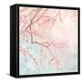 Sweet Cherry Blossoms IV-Evelia Designs-Framed Stretched Canvas