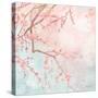Sweet Cherry Blossoms IV-Evelia Designs-Stretched Canvas